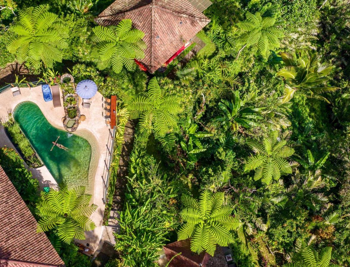 Sarinbuana Eco Lodge Blimbing  Exterior photo